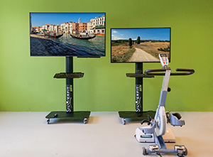 SilverFit Mile en TheraTrainer